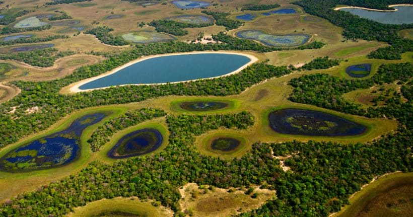 Pantanal - Viagens Baratas pelo Brasil