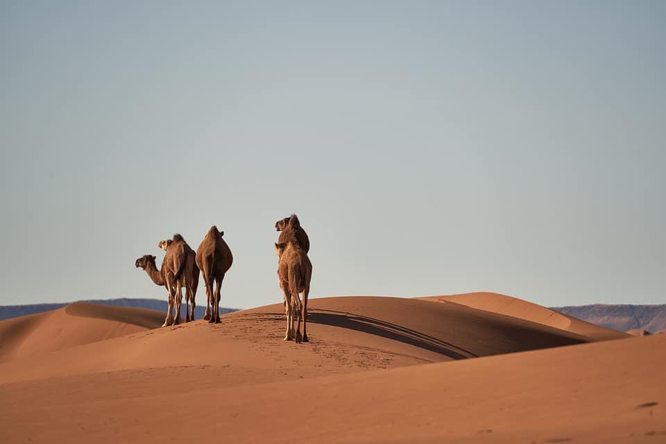 Marrocos - Viagens Internacionais Baratas