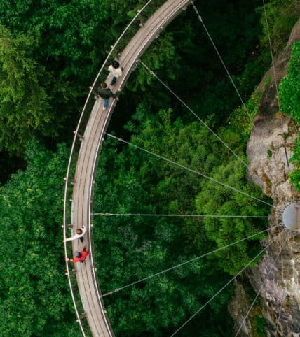  Capilano Suspension Bridge - Pontos turísticos no Canadá